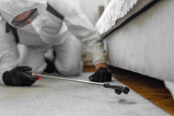 Professional Termite Control technician working in Enderlin, ND