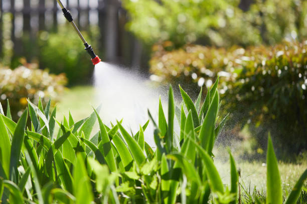 24/7 Emergency Termite Control experts in Enderlin, ND