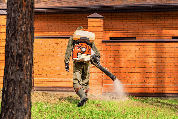 Trusted Mosquito Control service in Enderlin, ND - Nex Pest Control